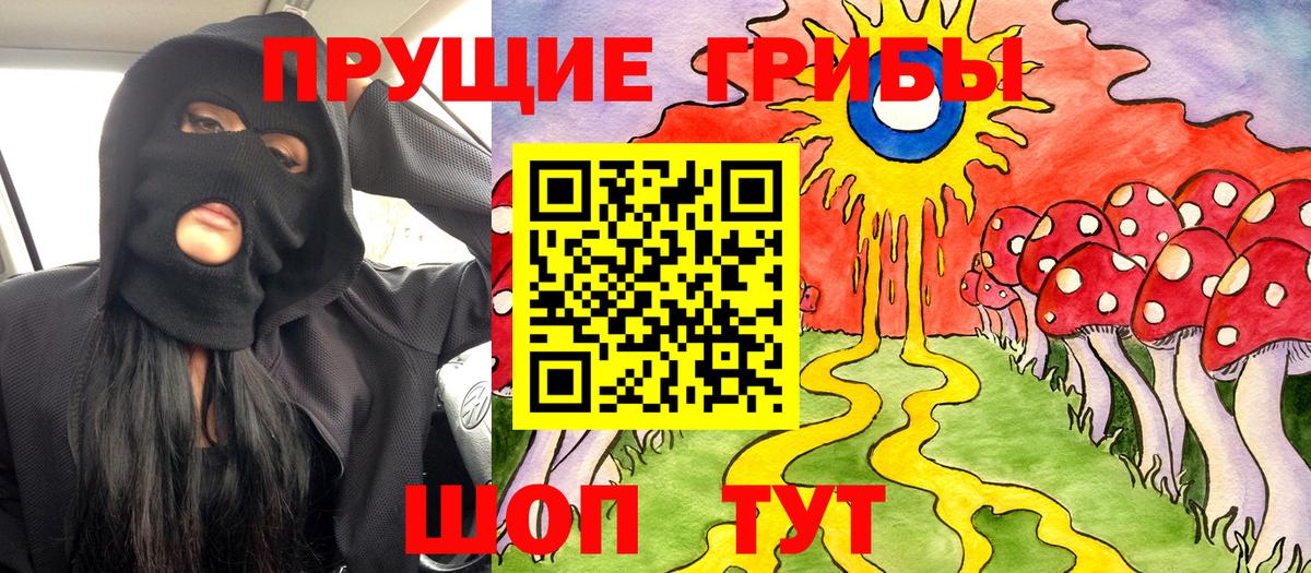 продажа наркотиков  Псилоцибиновые грибы GOLDEN TEACHER  Вход с VPN  Малоярославец 