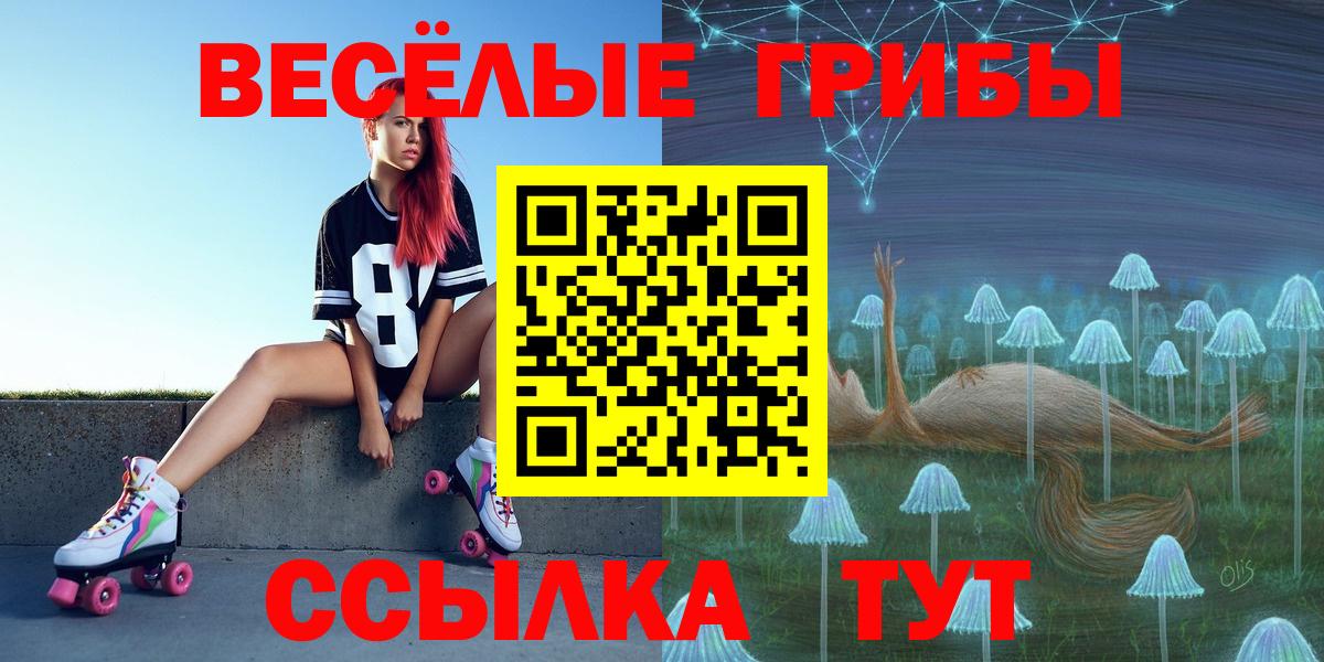 Псилоцибиновые грибы Psilocybine cubensis Малоярославец